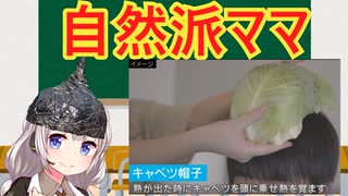自然派ママにの末路　解説