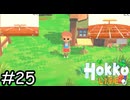 テーブルをリメイクしよう【Hokko Life】実況プレイpart25