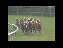 2006 読売マイラーズカップ(GII)　ダイワメジャー