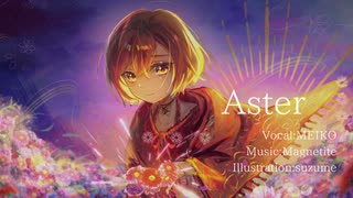 Aster / MEIKO
