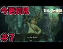 片腕を振り上げた勇者【ゼルダの伝説 ティアーズ オブ ザ キングダム】Part7