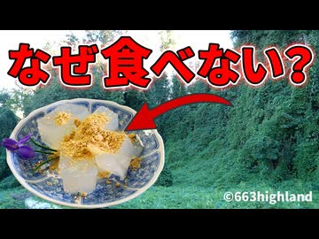 アメリカ人が爆増中の葛(クズ)を食べない理由【解説動画】