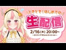 【初配信】Live2Dお披露目＆質問お答え会！【新人VTuber】
