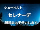 シューベルト　セレナーデ　譜読みお手伝いします。