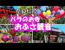 奈良のバラのお寺【おふさ観音】藤原京の近くのバラで有名なお寺です。葛城山のツツジを見た帰りに寄りました。提灯まつりがやっていて提灯もきれいでした。