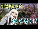 野外撮影は怖くない！ラブドールとの野外撮影を徹底解説！【ラブドールと学ぶ】【ゆっくり解説・VOICEVOX解説】