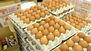 「物価の優等生は諦めて」高騰する卵　だし巻き卵店はやむなく値上げ　この先どうなる？専門家は夏場の鳥インフルに懸念