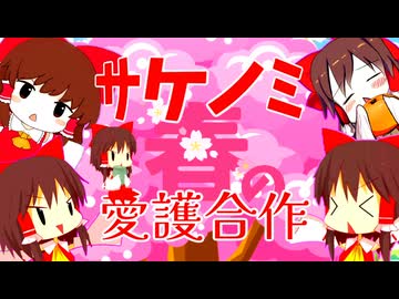 春のサケノミ愛護合作