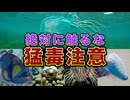 絶対に触ってはいけない海の危険生物【猛毒注意】