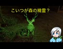 とりあえず森の精霊見てみる？〈Phasmophobia〉