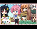 【ポケモンSV】ポケギ＊ドメイン14話