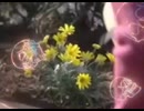 ナースのお仕事３ #2
