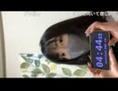 ザ・生配信「●横●４４４４４●ふ○わ●アコ○」【CHINA GIRL】2025.04.18
