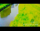 菜の花が咲いた季節 / 巡音ルカ