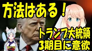 【方法はある】トランプ大統領が本気で2028年の大統領3期目を目指しているもよう【世界の〇〇にゅーす】