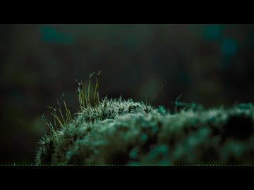 怖くても Even if it's Scary 【BGM】