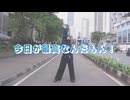 【ハツラ】今日が最高なんだもん！ 踊ってみた【#ニコニコ超会議2025】【#踊オフ2025】