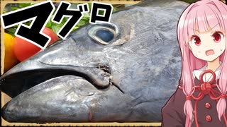 【異世界飯】「マグロ頭」初見でマグロの頭なんてテキパキさばけるか！