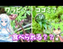 ワラビとコゴミっぽい何か、食べられる？
