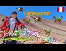 ●M Trip●【ペルー編】【第２章　レインボーマウンテン頂上到着！！そして次の日は、マチュピチュに！！かなりハードな旅だけど大丈夫？？】