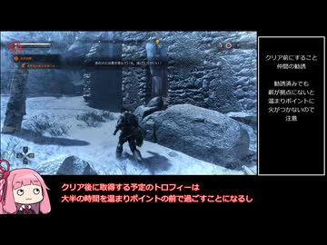 【トロフィー100％】FadetoSilence　part06