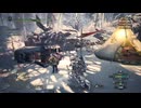 【MHW:IceBorne】#134