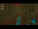 #169【ゼルダの伝説 ティアーズ オブ ザ キングダム】ゼルダ姫、俺もう疲れたよ…