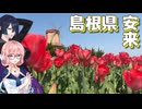 チューリップ畑と三重塔【ソフトウェアトーク旅行】