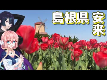 チューリップ畑と三重塔【ソフトウェアトーク旅行】