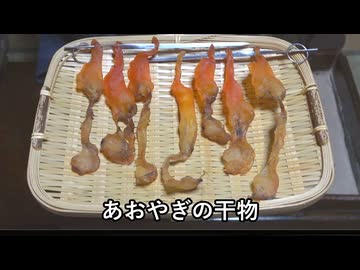 あおやぎの干物【長火鉢とおっさん 397】