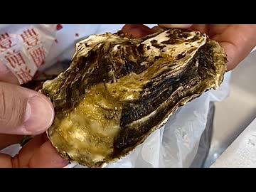 【地元から送られてきた牡蠣】自由すぎる妻のしもべ