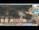【実況】モンハンワイルズやる！【50】