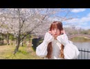 【むく】ハルイチ。踊ってみた【桜】