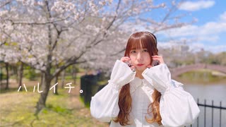 【むく】ハルイチ。踊ってみた【桜】