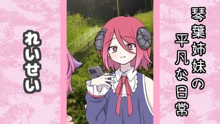 琴葉姉妹の平凡な日常 299『ことのはじまり⑭』【VOICEROID劇場】