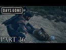 荒れ果てた世界を生き延びろ。【DAYS GONE実況part36】