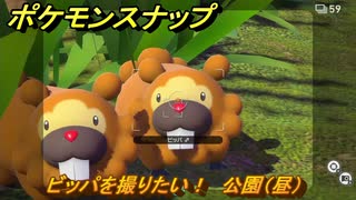 ポケモンスナップ　ビッパを撮りたい！　公園（昼）調査レベル２　＃２　【New ポケモンスナップ】
