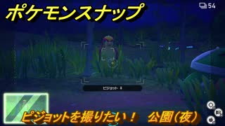 ポケモンスナップ　ピジョットを撮りたい！　公園（夜）調査レベル２　＃５　【New ポケモンスナップ】