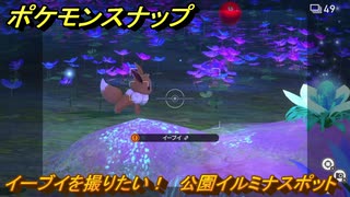 ポケモンスナップ　イーブイを撮りたい！　公園イルミナスポット調査レベル２　＃８　【New ポケモンスナップ】