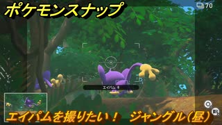 ポケモンスナップ　エイパムを撮りたい！　ジャングル（昼）調査レベル１　＃９　【New ポケモンスナップ】