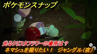 ポケモンスナップ　光るクリスタフラワーの場所は？　ネマシュを撮りたい！　ジャングル（夜）調査レベル１　＃１２　【New ポケモンスナップ】