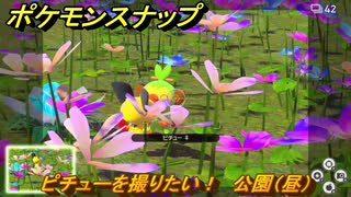 ポケモンスナップ　ピチューを撮りたい！　公園（昼）調査レベル２　＃１３　【New ポケモンスナップ】