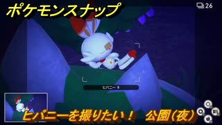 ポケモンスナップ　ヒバニーを撮りたい！　公園（夜）調査レベル２　＃１４　【New ポケモンスナップ】