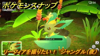 ポケモンスナップ　リーフィアを撮りたい！　ジャングル（夜）調査レベル２　＃１５　【New ポケモンスナップ】