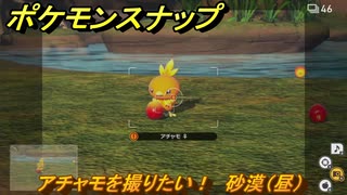 ポケモンスナップ　アチャモを撮りたい！　砂漠（昼）調査レベル１　＃１６　【New ポケモンスナップ】