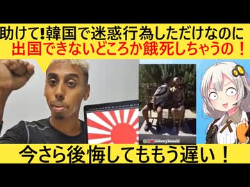 迷惑youtuberソマリ、韓国で逮捕され金欠で餓死寸前になってしまう…