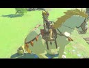 【ティアキン】依頼を受けて、ウマに乗ったまま渡れる川を探してみた【ドリカラ】【ボイスピ実況,ゼルダの伝説,ティアーズオブザキングダム,TotK,バグ,検証 】