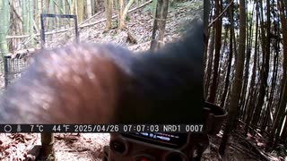 (色々生えてきたな？ｗ）変態忍者の、有害鳥獣駆除従事活動記・その３２８