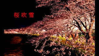 桜吹雪 / Mai 【オリジナル曲】