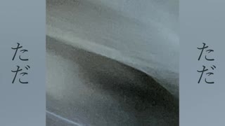 綺麗事 / 知声